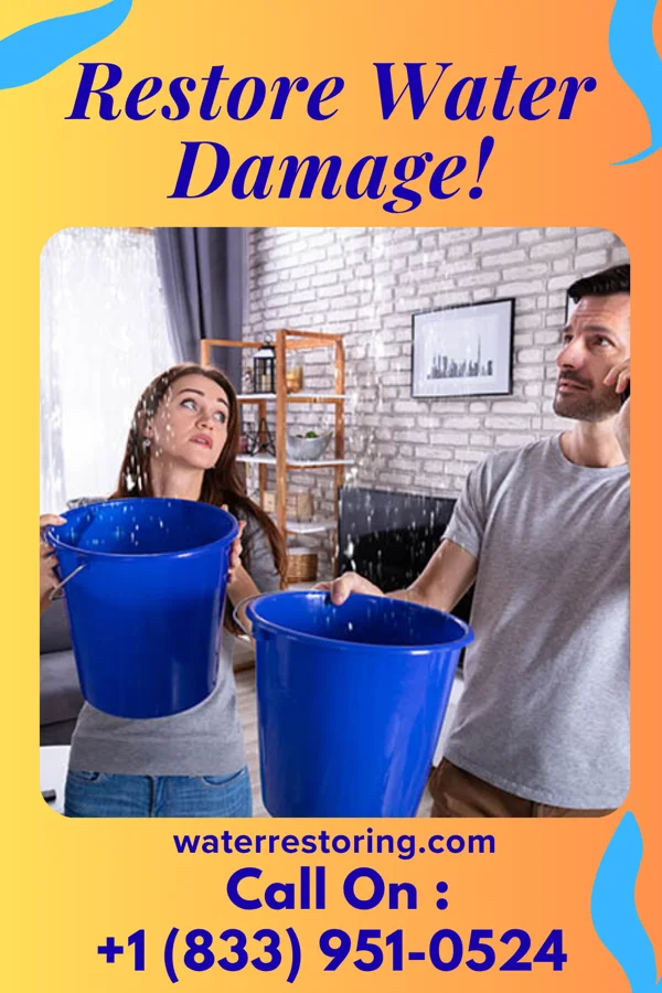 water restoration Platinum Mitigation Experts Westover