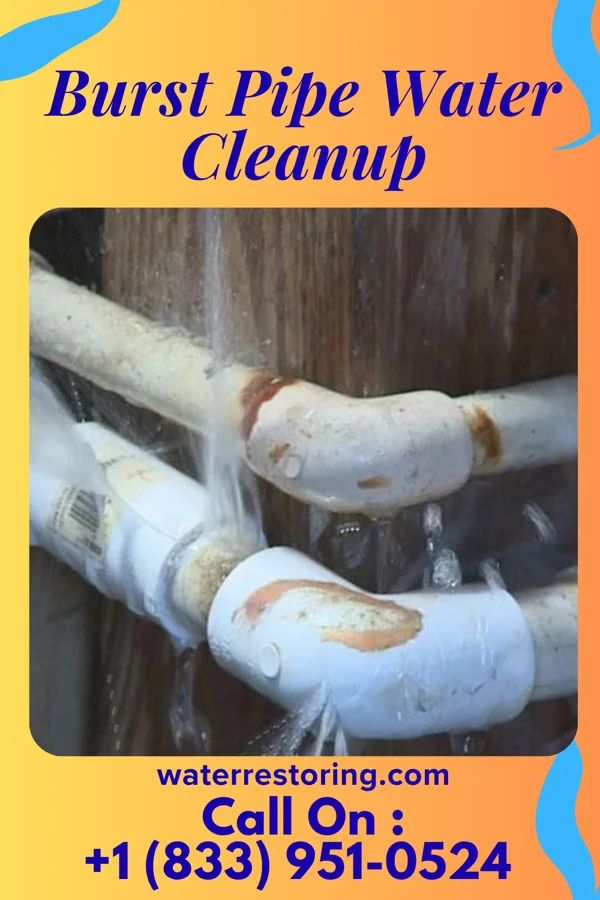 Burst Pipe Water Cleanup in Westover, PA