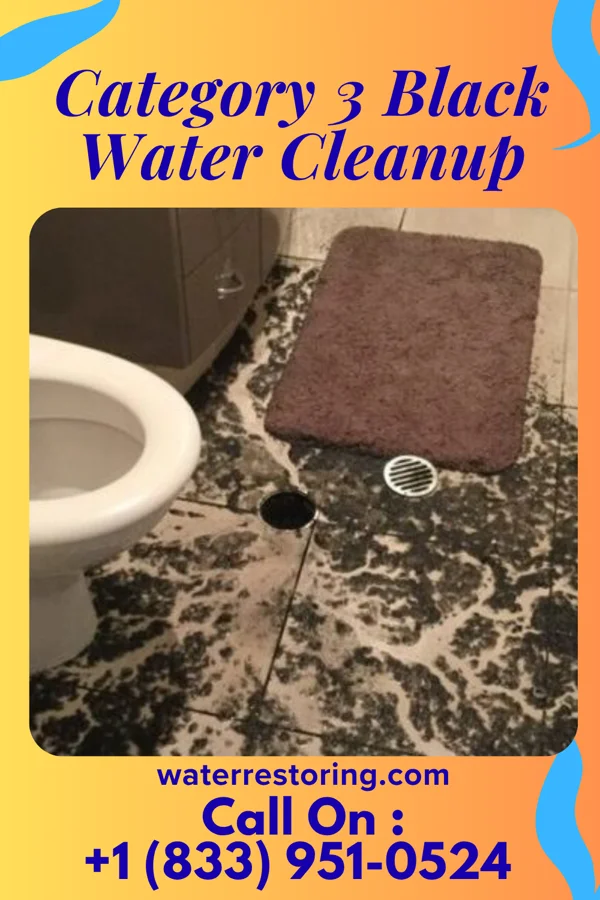 Category 3 Black Water Cleanup in Westover, PA