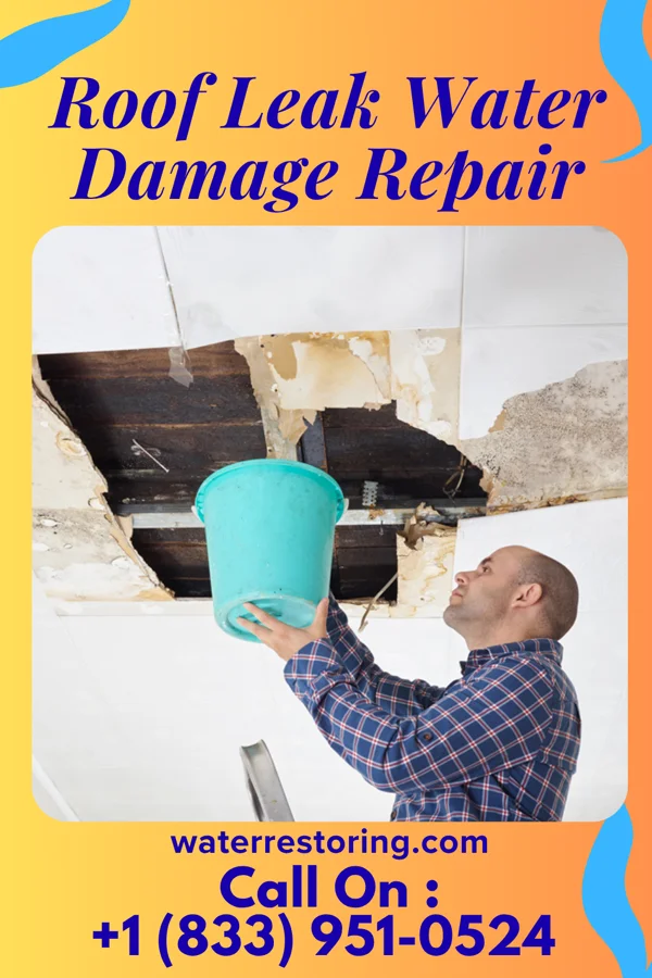 Roof Leak Water Damage Repair in Westover, PA