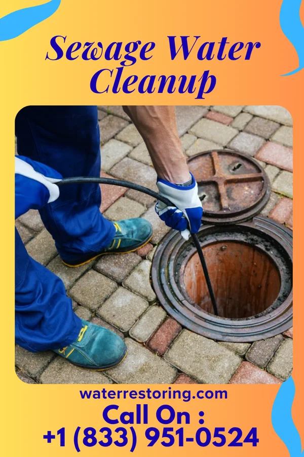 Sewage Water Cleanup in Westover, PA