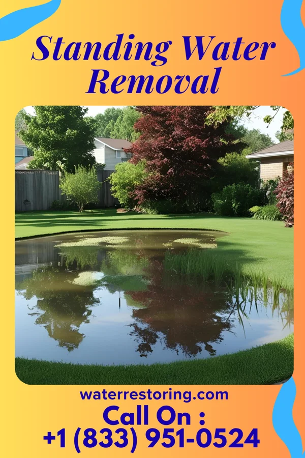 Standing Water Removal in Westover, PA